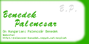 benedek palencsar business card